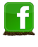 facebook-ikonka