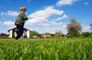 idealny trawnik z rolki