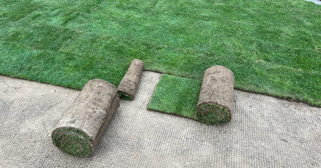 Siatka na krety pod trawnik – prawidłowe zakłady i kotwienie przed zasypaniem ziemią