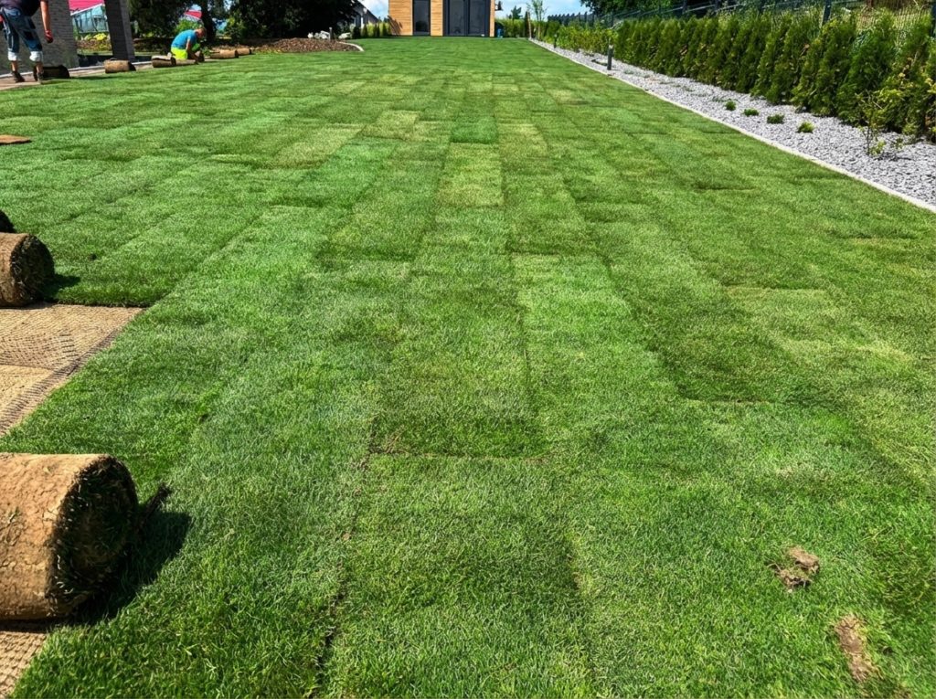 zakładanie trawnika z rolki w Lublinie