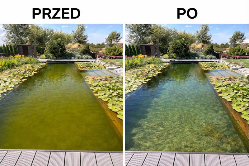 dojrzewanie stawu kąpielowego