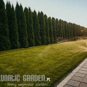 Ogród w Lublinie
